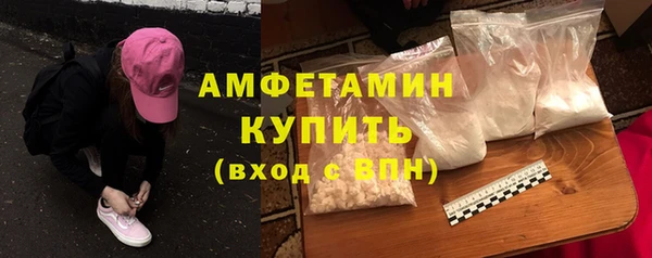 шишки Няндома