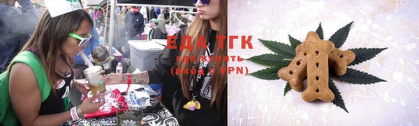 шишки Няндома