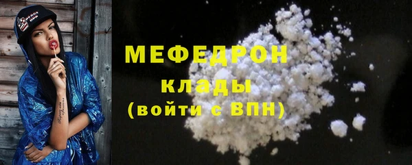 шишки Няндома