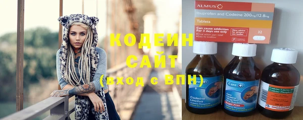 шишки Няндома