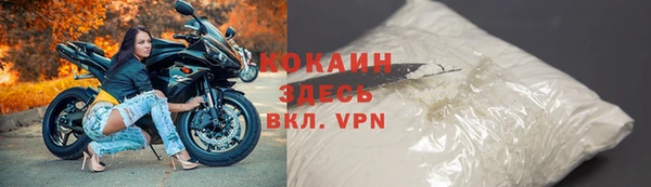 шишки Няндома