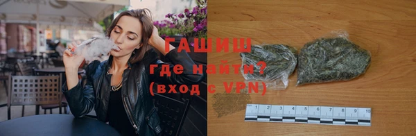 шишки Няндома