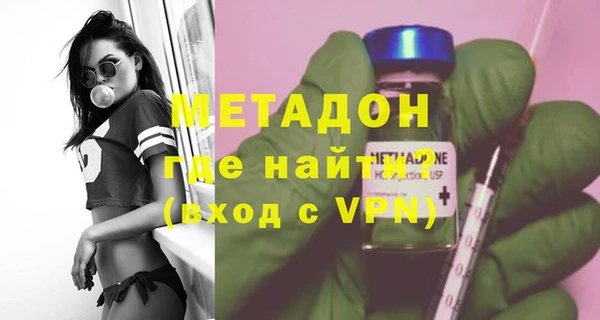 шишки Няндома