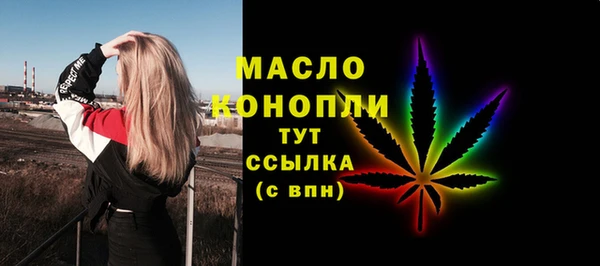 шишки Няндома