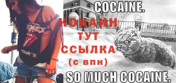 гидра Осинники
