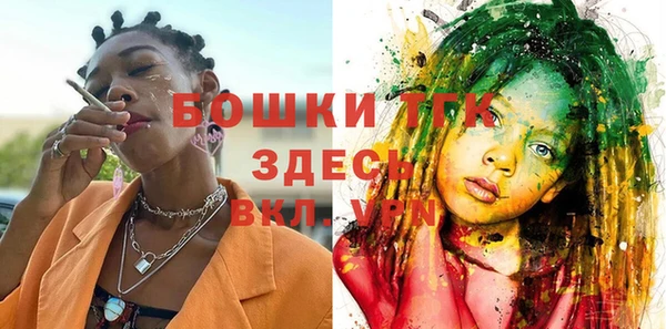 шишки Няндома