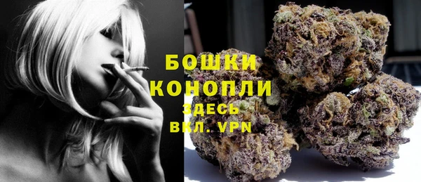 шишки Няндома