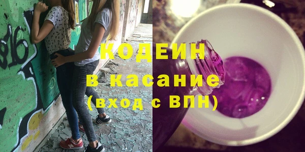 шишки Няндома