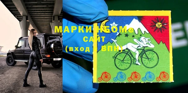 шишки Няндома