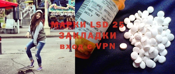 шишки Няндома