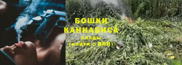 шишки Няндома
