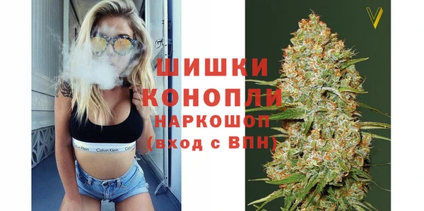 молекула духа Нязепетровск