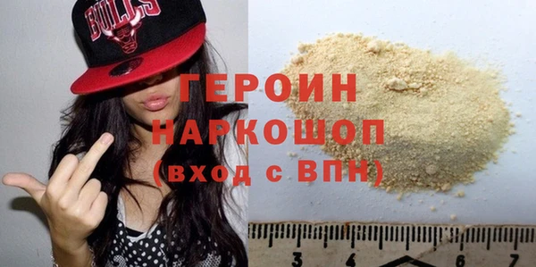 шишки Няндома
